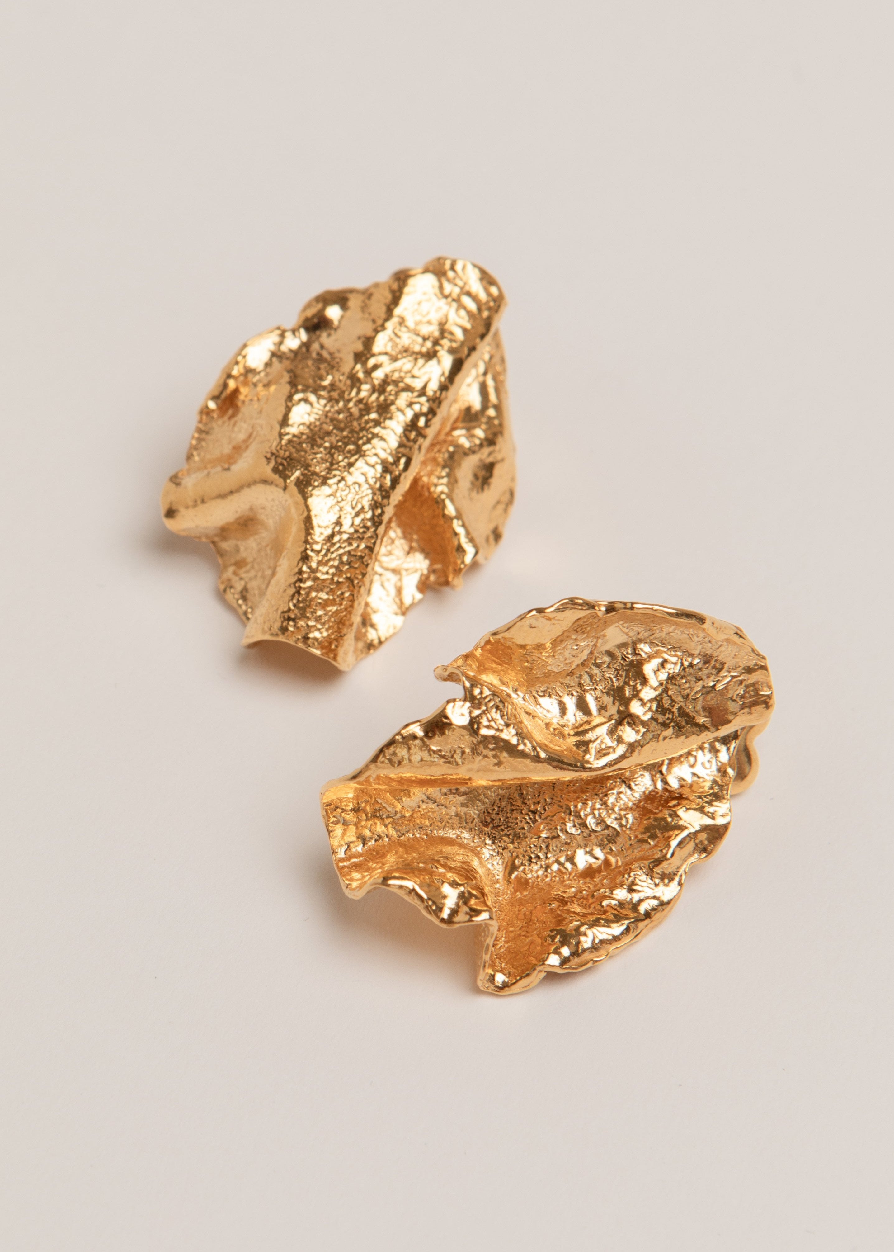 Coming Alive of Sculpture Earrings